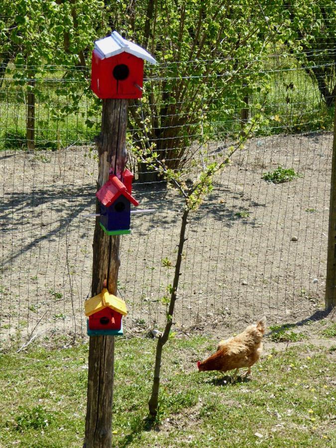 Bottega Di Rosanna Farm stay
